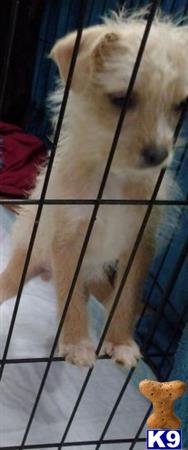 Maria Lou Picture 3